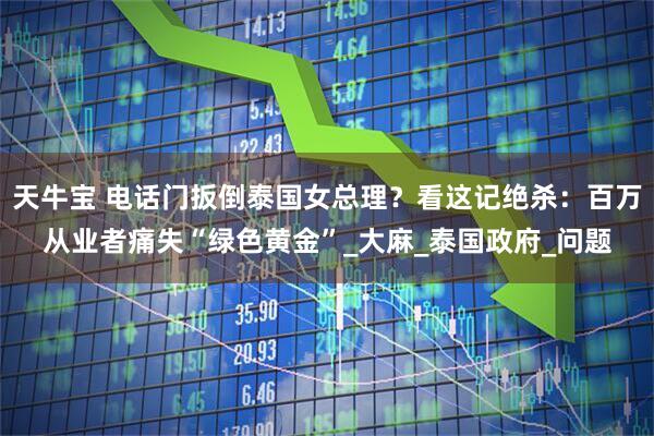 天牛宝 电话门扳倒泰国女总理？看这记绝杀：百万从业者痛失“绿色黄金”_大麻_泰国政府_问题