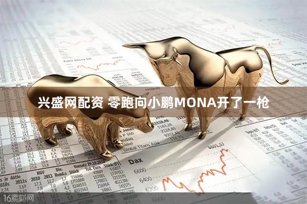 兴盛网配资 零跑向小鹏MONA开了一枪