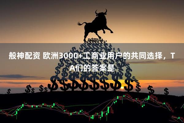 般神配资 欧洲3000+工商业用户的共同选择，TA们的答案是