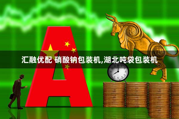 汇融优配 硝酸钠包装机,湖北吨袋包装机