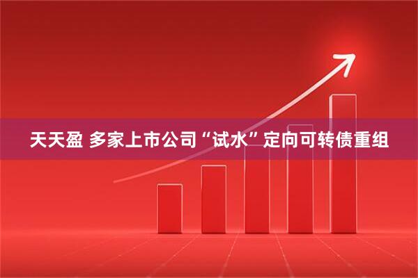 天天盈 多家上市公司“试水”定向可转债重组
