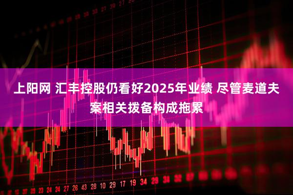 上阳网 汇丰控股仍看好2025年业绩 尽管麦道夫案相关拨备构成拖累