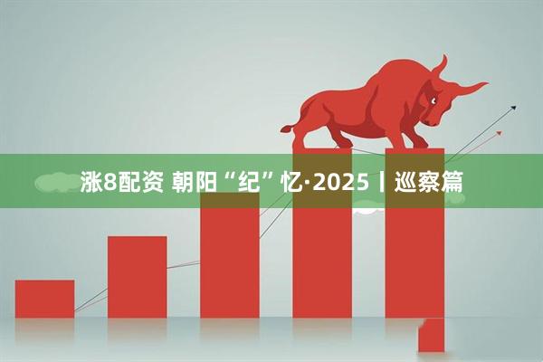 涨8配资 朝阳“纪”忆·2025丨巡察篇